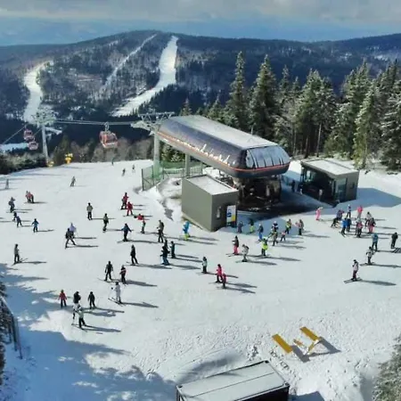 White Luxury * Haslach an der Mühl