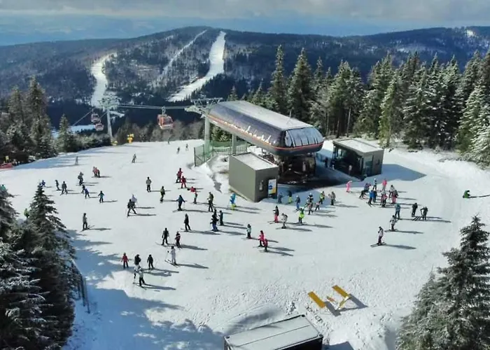 White Luxury * Haslach an der Mühl